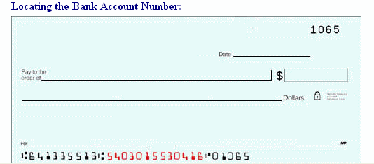 e-check example screen 2
